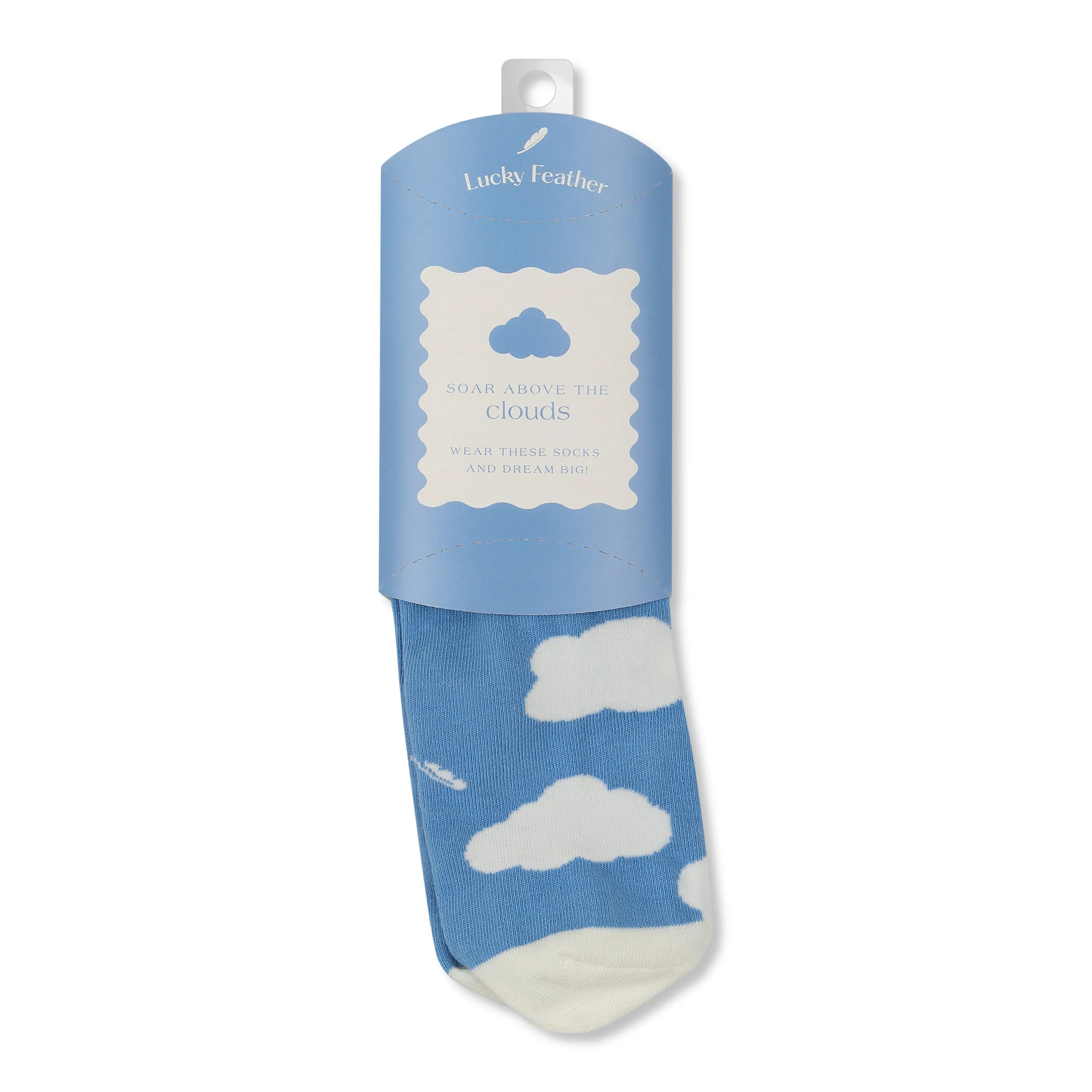 Sockspirations Gift-Ready Socks